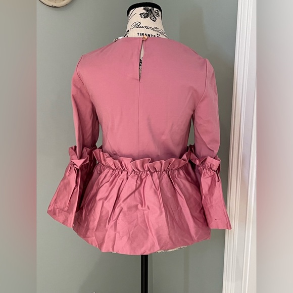 NWT Ted Baker Dusty Pink Pleated Waist Crop Sleeve Top | Size 1 (4) | Gorgeous - Picture 3 of 11
